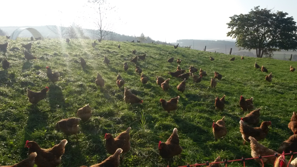 biotag14_004
