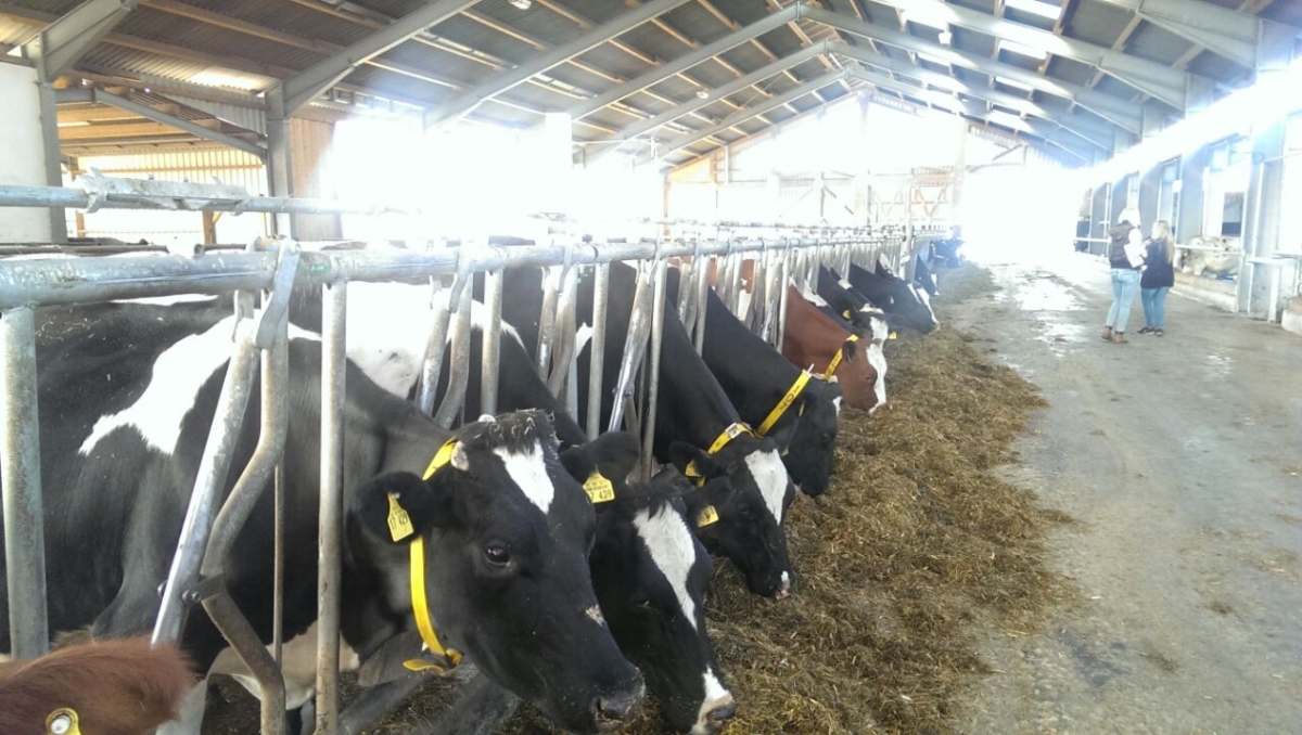 biotag14_012