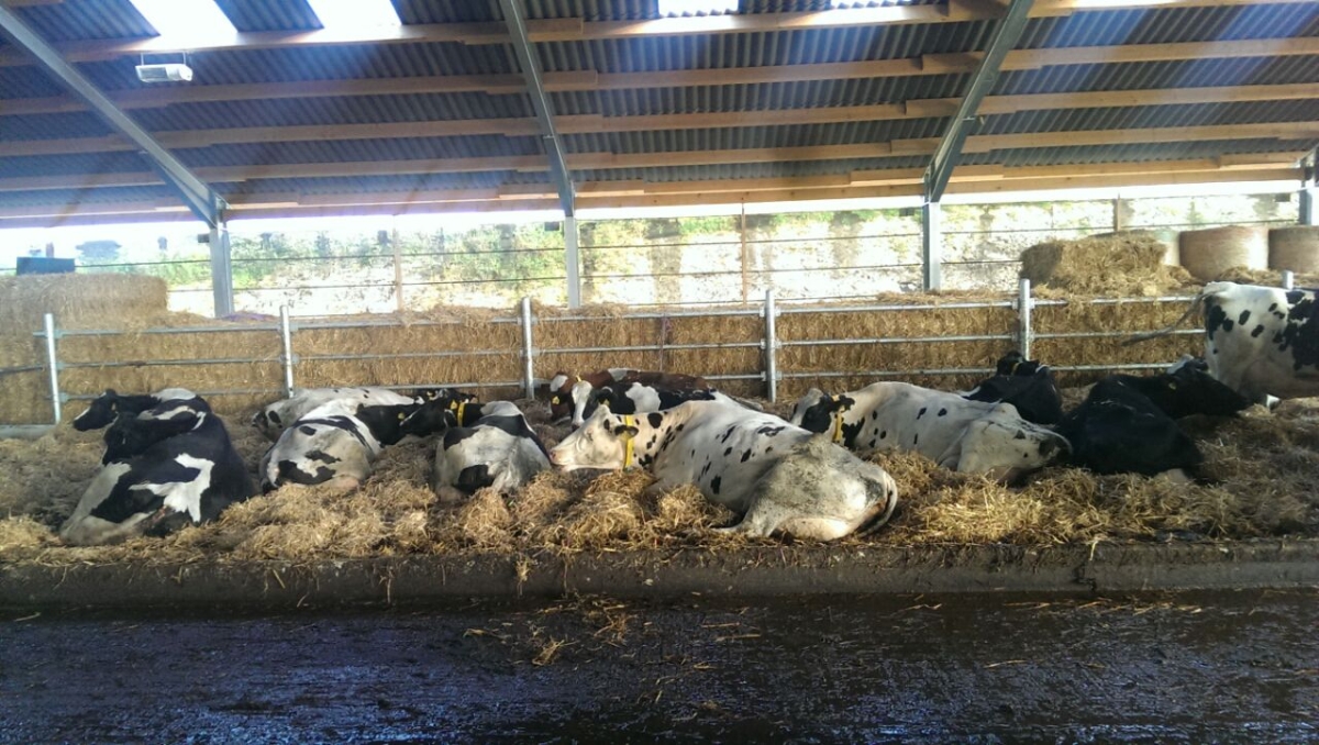 biotag14_013