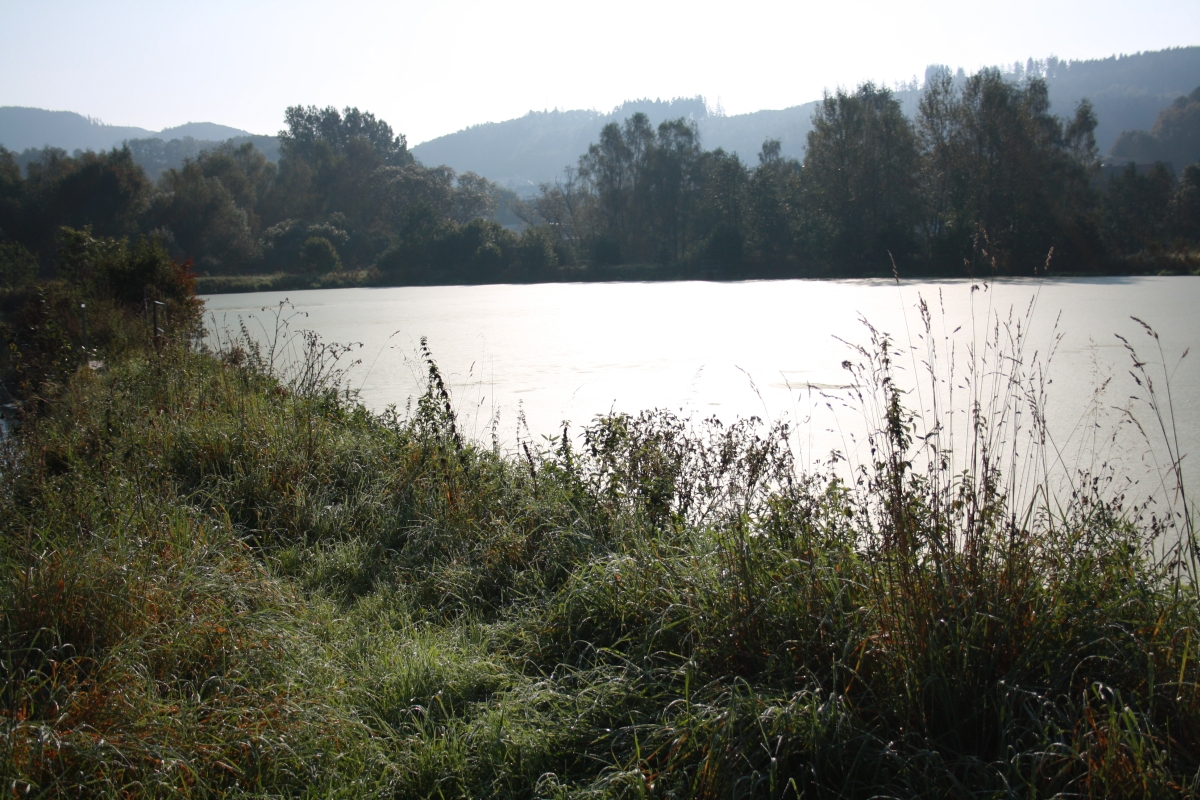 biotag14_032