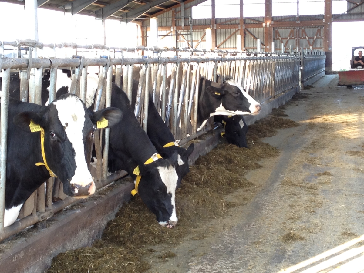 biotag14_035
