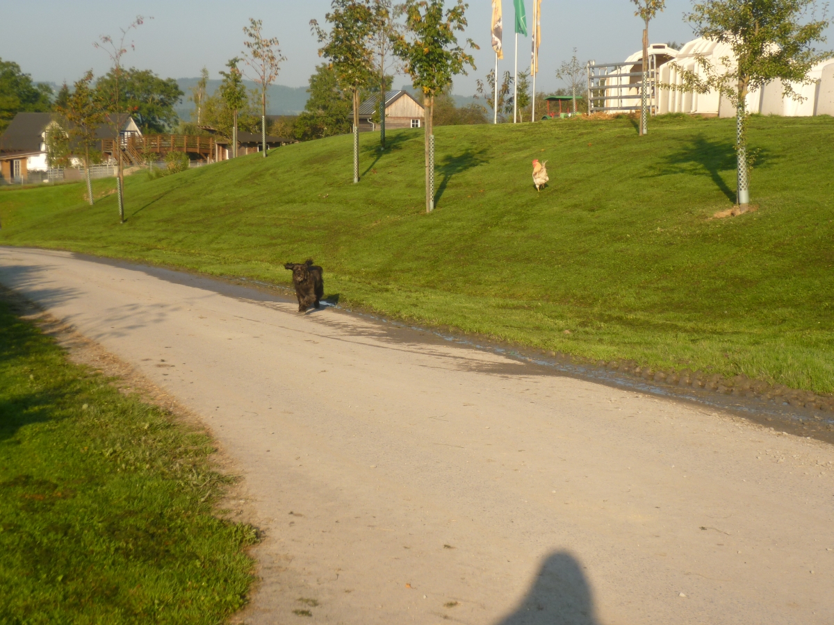 biotag14_041