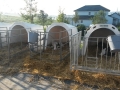 biotag14_001