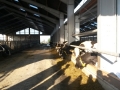 biotag14_002