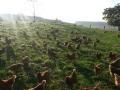 biotag14_004
