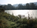 biotag14_032