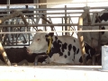 biotag14_034