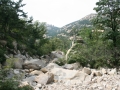china15_49