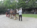 irland_15_out_005