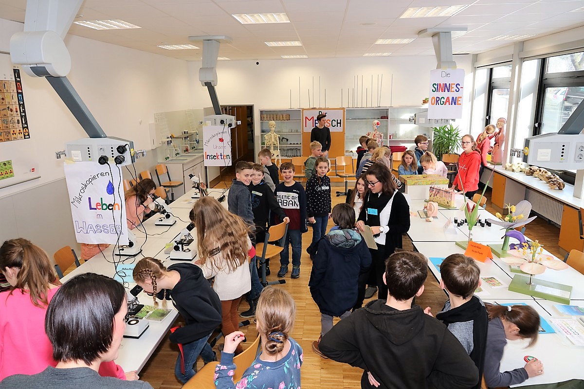 MK-OT-19_28_Biologie