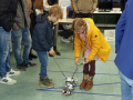 tdot_23_1_100 tdot_23_1_100