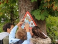 wallfahrt_18_08