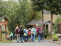 wallfahrt_18_11