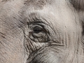 zoo14_011