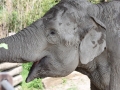 zoo14_013