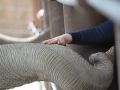 zoo14_018