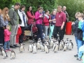 zoo14_024