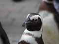 zoo14_025