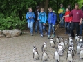 zoo14_030