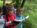 zoo14_034