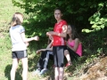 bjs_2015_6724