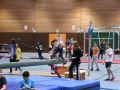 tot_2015_6662
